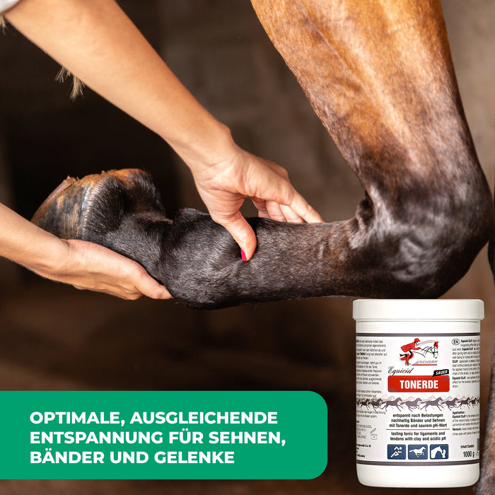 Equicid Tonerde: Erfrischende Pferdepflege für Entspannung und Regeneration - Silberkraft