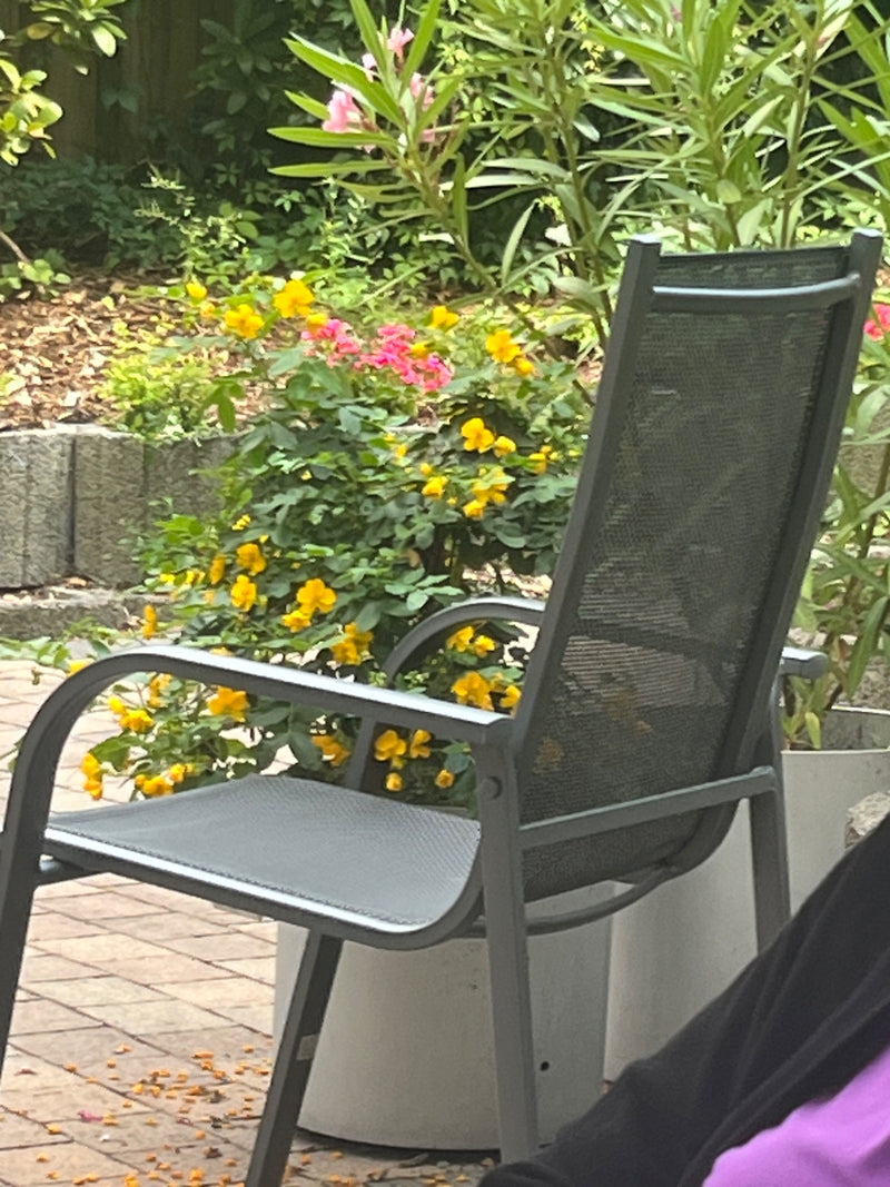 Im Hintergrund steht ein blühender Fünffingerstrauch mit gelben Blüten in einem Garten. Im Vordergrund ist ein grauer Gartenstuhl zu sehen.