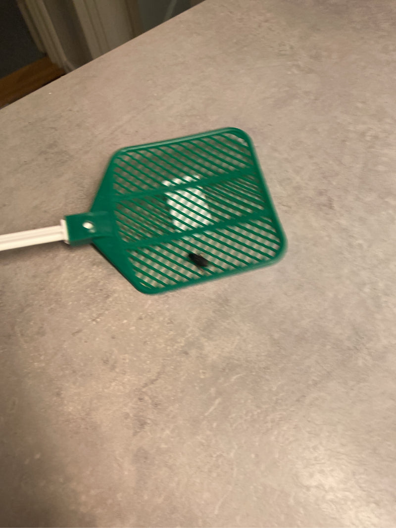 Gemeiner Schnellläufer — Bild 4 von 20