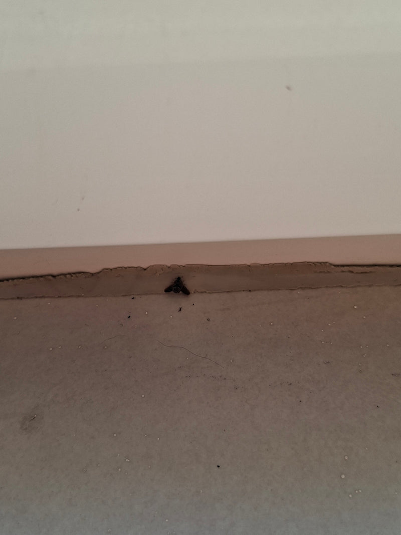 Auf einer hellen Oberfläche sitzt ein Gemeiner Trauerschweber in der Ansicht von oben. Das Insekt ist sehr klein und entfernt aufgenommen.