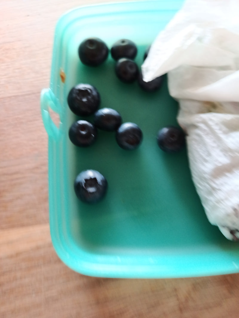 Heidelbeere — Bild 2