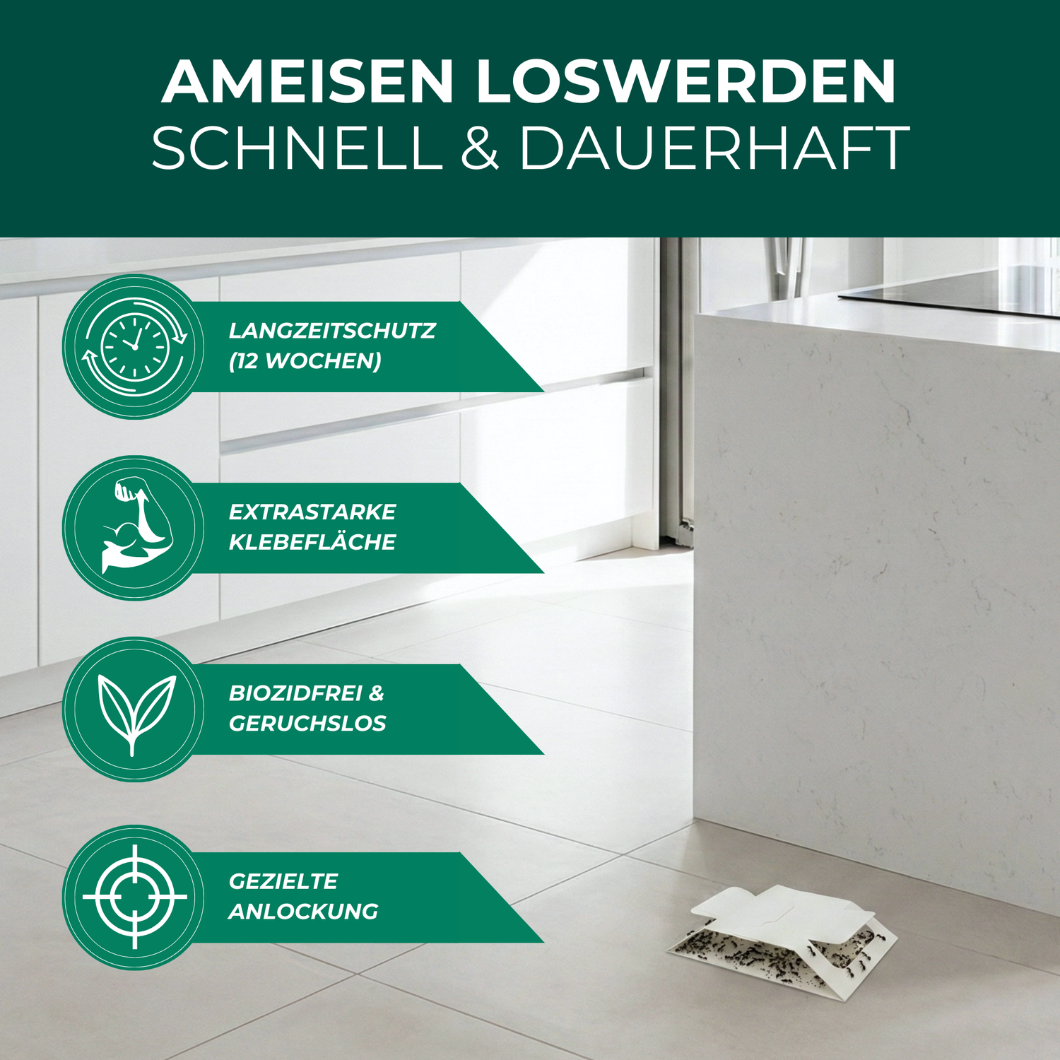Die Anzeige zeigt verschiedene Funktionen und Merkmale der Küche in ansprechender Darstellung.