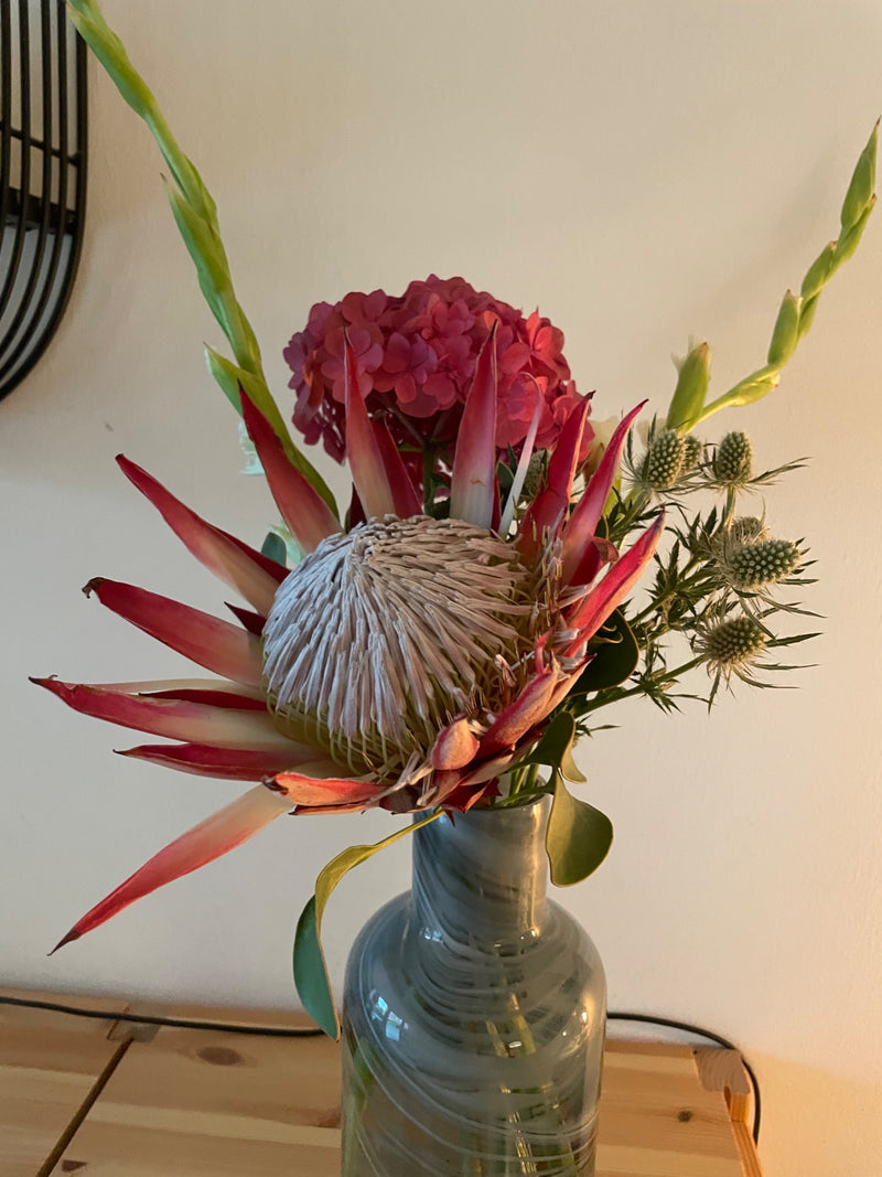 Protea — Bild 1