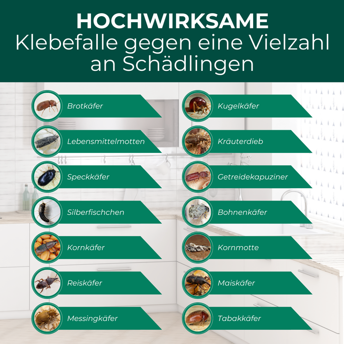 Klebefalle wirksam gegen Vorratsschädlinge wie Kornkäfer, Reiskäfer, Motten, Silberfischchen und weitere kriechende Insekten