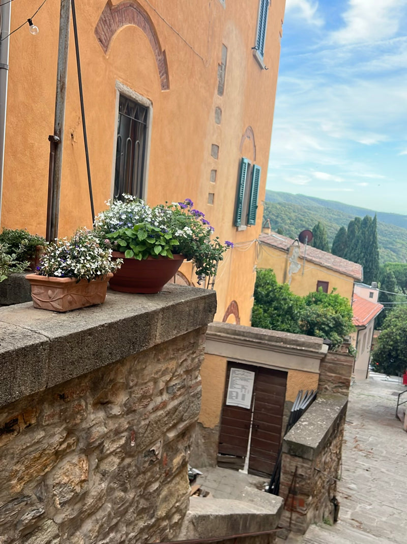 In zwei Pflanzgefäßen auf einer Steinmauer stehen blühende Exemplare des Männertreus mit blauen und weißen Blüten. Im Hintergrund ist eine südländische Hausf...
