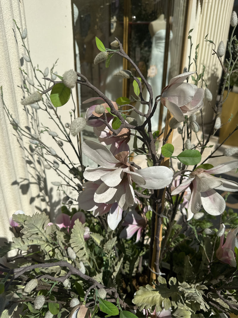 Magnolie — Bild 3