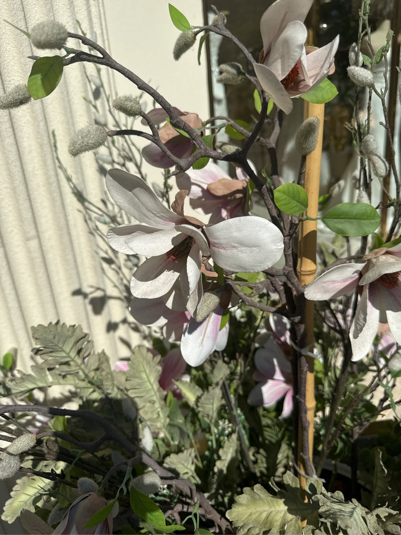 Magnolie — Bild 4