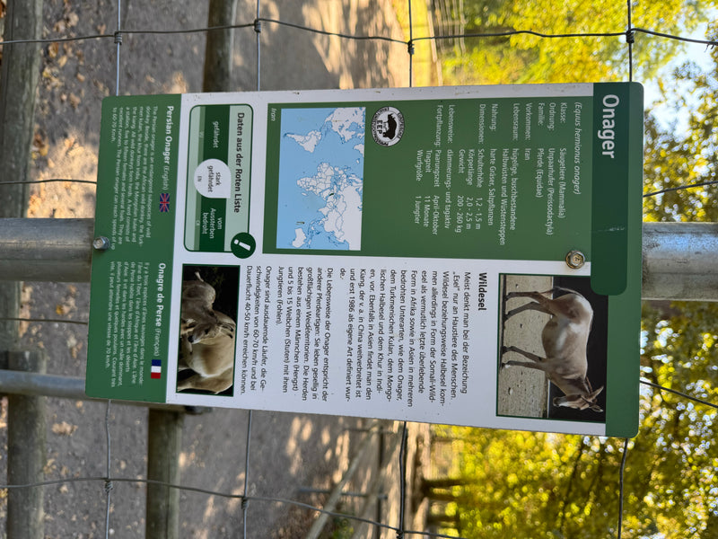 Onager — Bild 1 von 2