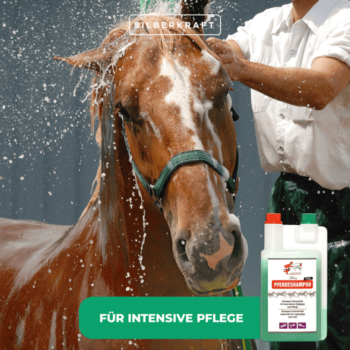Pferdeshampoo Plus: für gesundes und glänzendes Pferdefell - Silberkraft