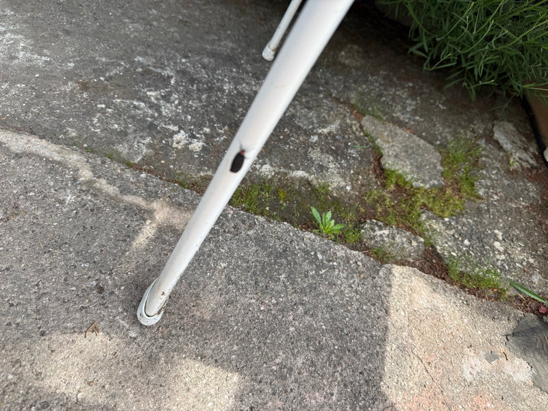 Rotnackiges Schwarzwidderchen — Bild 3 von 14