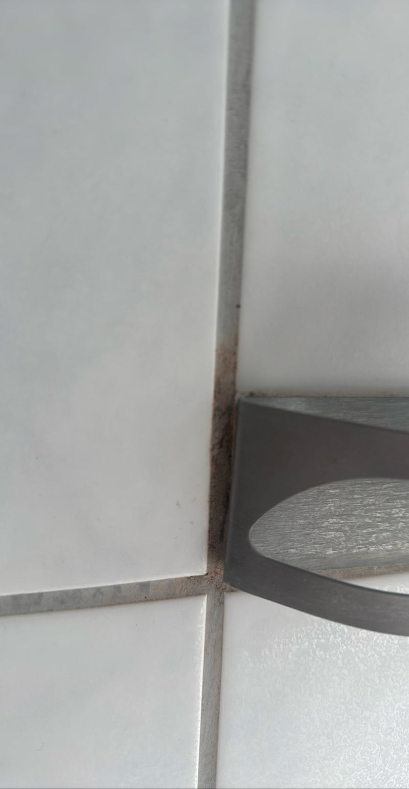 Schwarzer Schimmel — Bild 4 von 6