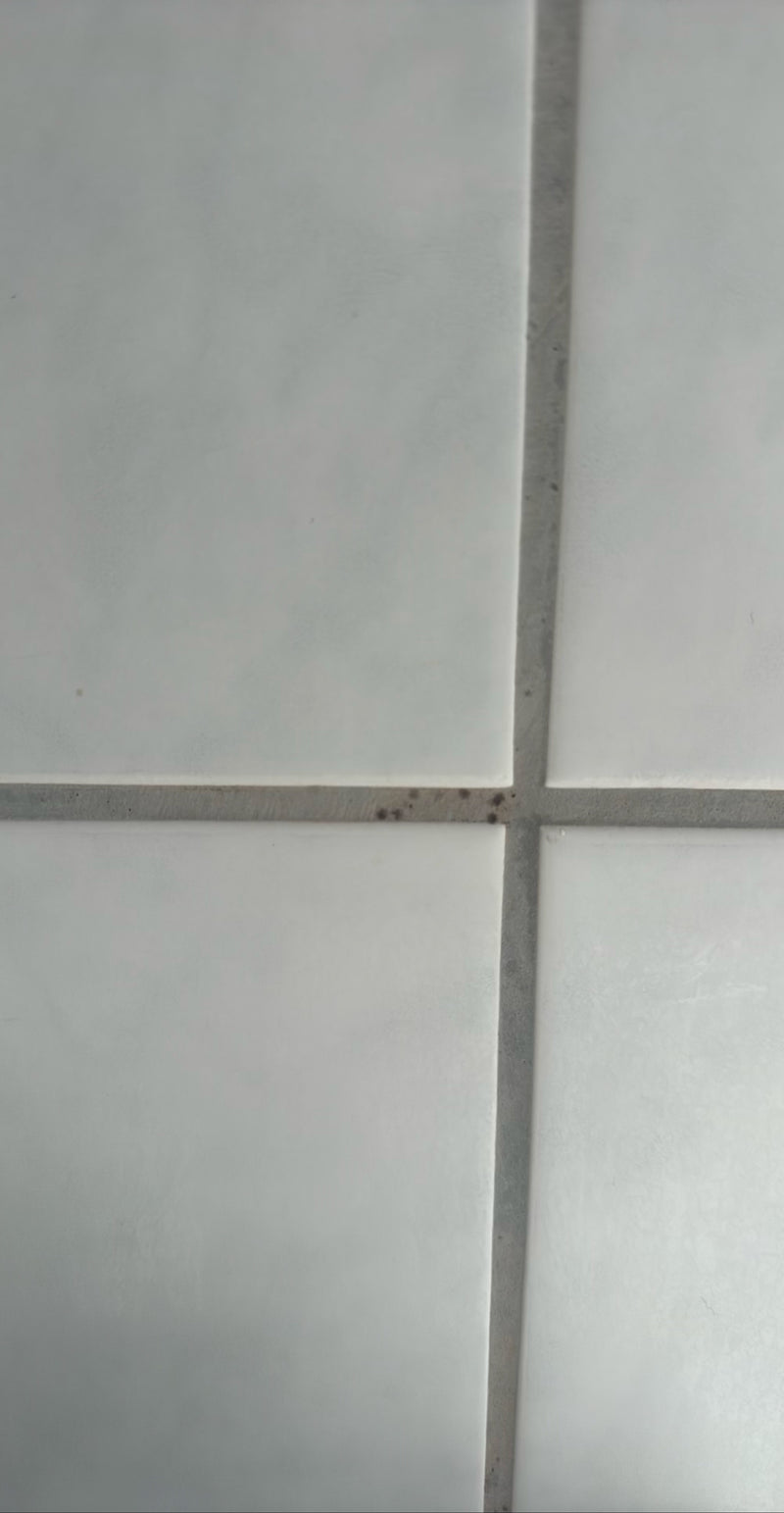 Auf dem Bild sind kleine, dunkle Flecken von Schimmel zu sehen, die auf den Fugen hellerer Wandfliesen wachsen.