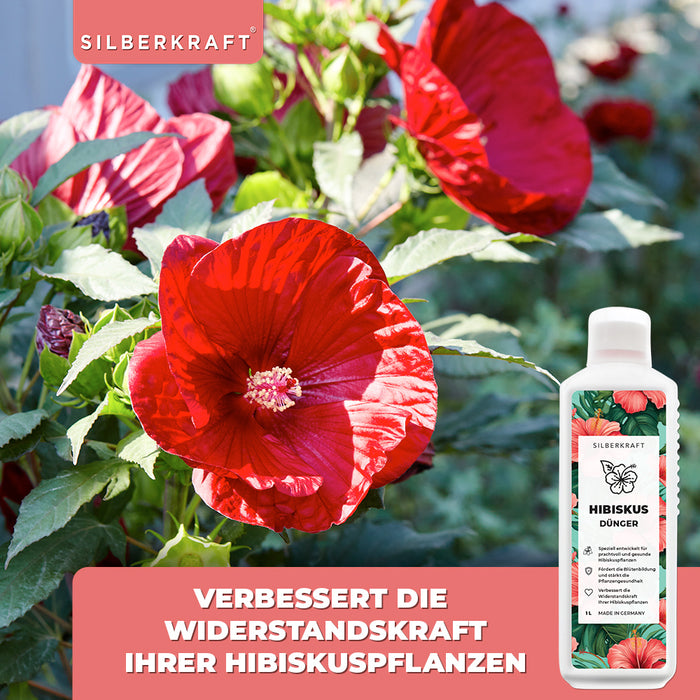 Hibiskus Dünger - Mineralischer NPK Flüssigdünger mit Stickstoff - Dünger für Hibiskus - Roseneibisch düngen - Silberkraft
