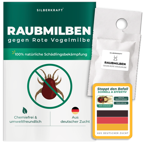 Raubmilben gegen Rote Vogelmilben (Stratiolaelaps scimitus / Hypoaspis miles)