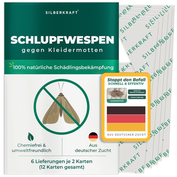 Schlupfwespen gegen Kleidermotten - Silberkraft