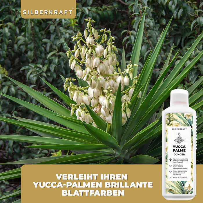 Yucca Dünger - Mineralischer NPK Flüssigdünger mit Stickstoff - Dünger für Yucca Palmen - Palmlilie düngen -  Yucca Rostrata Dünger - Silberkraft