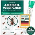 Ameisenwespchen – Cephalonomia tarsalis