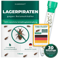 Lagerpiraten gegen Reismehlkäfer (Raubwanze Xylocoris Xylocoris flavipes)