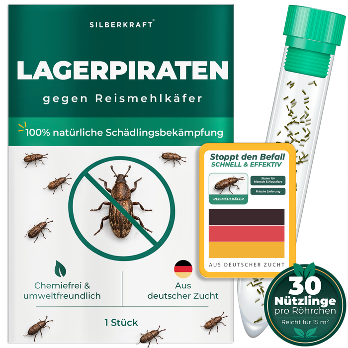 Silberkraft Lagerpiraten gegen Reismehlkäfer, natürliche Nützlinge zur chemiefreien Bekämpfung von Reismehlkäfern im Haushalt, aus deutscher Zucht, 30 Lagerpiraten pro Röhrchen