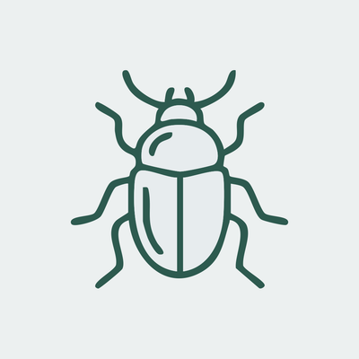 Käfer