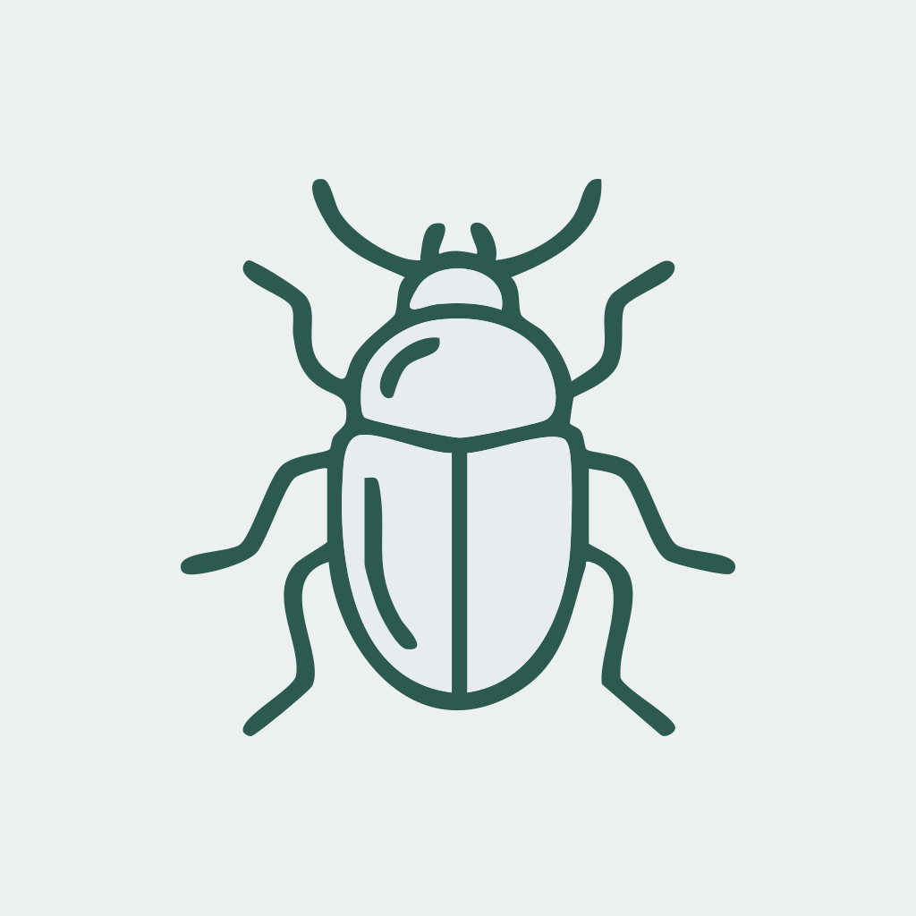 Käfer