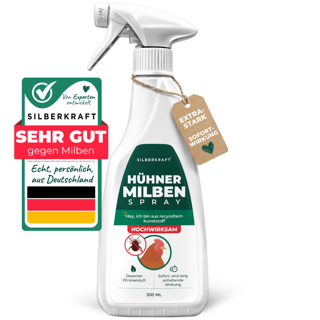 Vögel / Hühner