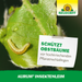 Neudorff Aurum Insekten Leim - Silberkraft