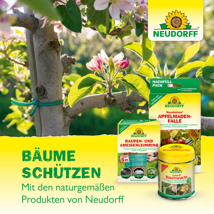 Neudorff Aurum Insekten Leim - Silberkraft