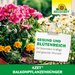 Neudorff Azet Balkonpflanzen Dünger 750g - Silberkraft