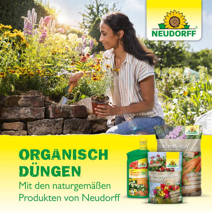 Neudorff Azet Balkonpflanzen Dünger - Silberkraft