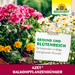 Neudorff Azet Balkonpflanzen Dünger - Silberkraft
