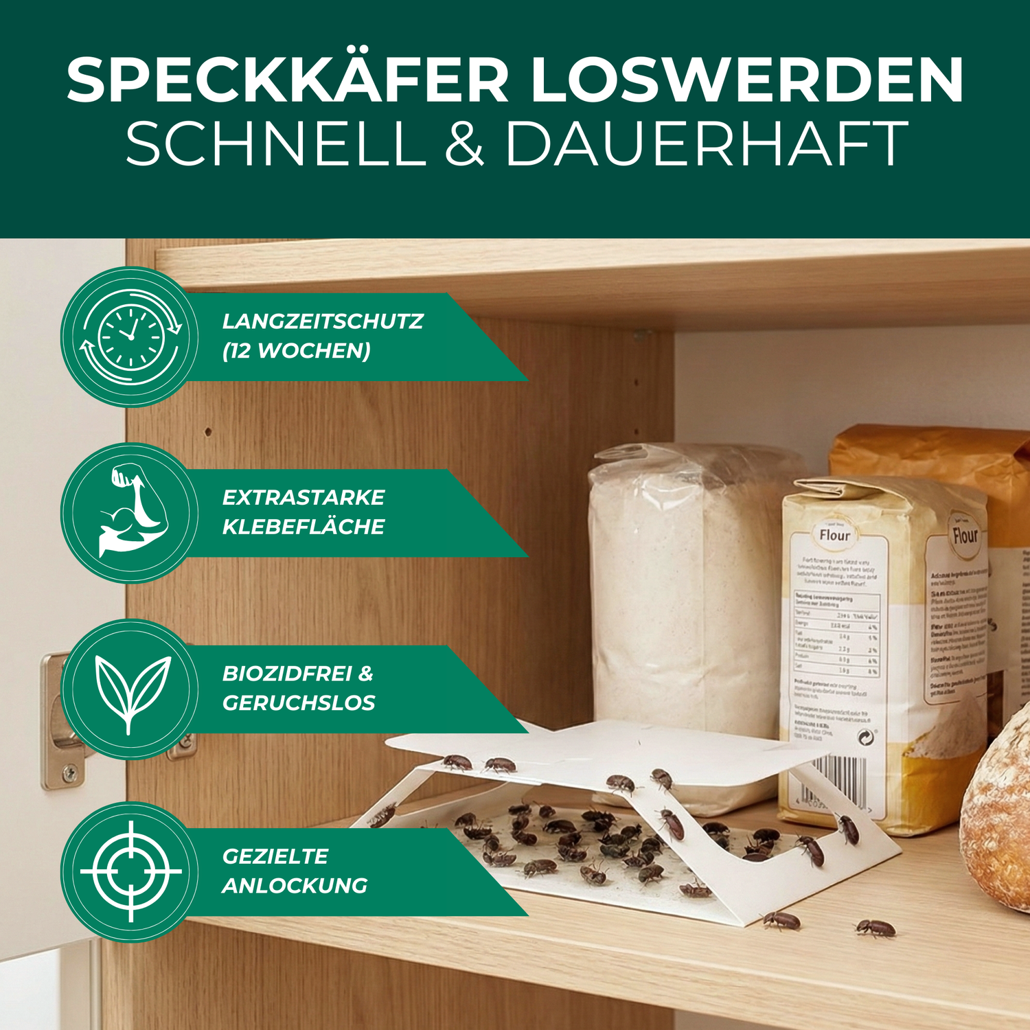 Speckkäferfalle im Küchenschrank – gezielte Anlockung und Fang von Speckkäfern in Vorratsbereichen