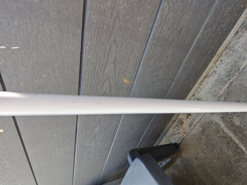 Streckerspinne — Bild 2 von 3