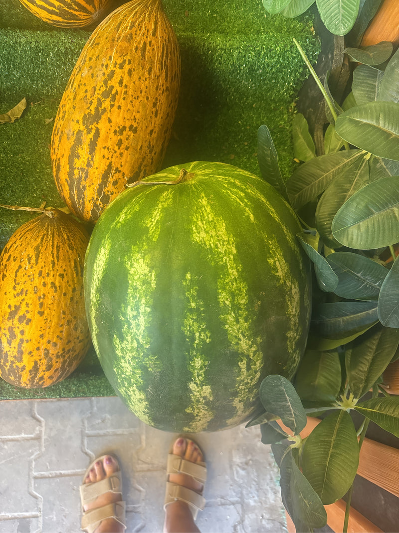 Auf dem Bild sind mehrere reife Melonen zu sehen, darunter eine große grüne Wassermelone und zwei längliche Zuckermelonen. Sie liegen auf einer dekorativen U...