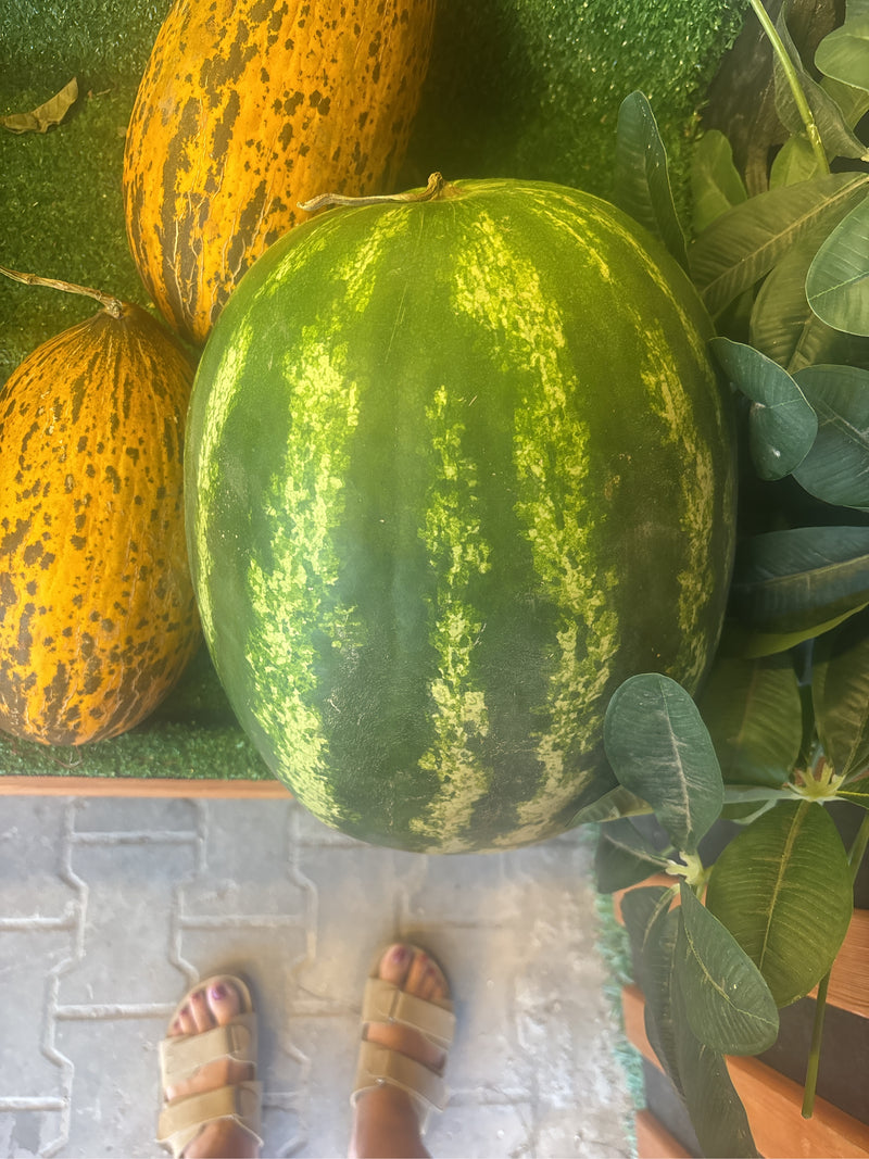 Eine große, grün-gestreifte Wassermelone liegt neben gelben Melonen und künstlichen Blättern. Die Früchte sind gut erkennbar und liegen auf einer grünen Unte...