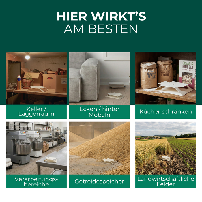 Käferfalle im Einsatz in Keller, hinter Möbeln, Küchenschränken, Lagerräumen, Getreidespeichern und Wohnbereichen