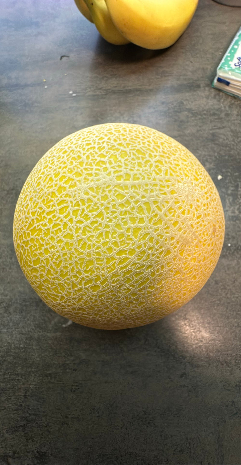 Auf dem Bild ist eine reife Zuckermelone mit typischer Netzstruktur auf der Schale zu sehen, die auf einer dunklen Oberfläche liegt.