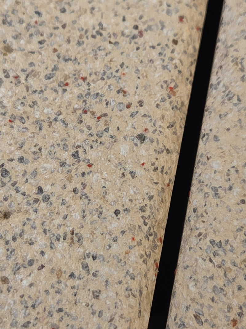 Auf einer hellen Steinfläche sind mehrere kleine, rote Punkte zu sehen, die als Mauer-Schnellläufer erkennbar sind.