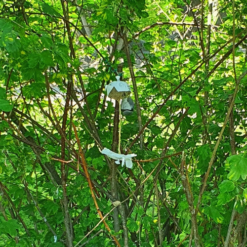 Kleiber — Bild 2 von 9