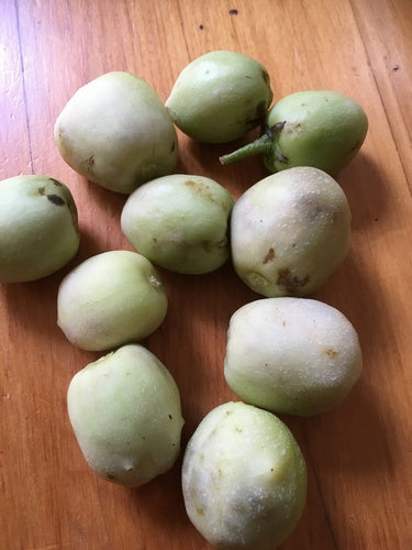 Pepino — Bild 1 von 2