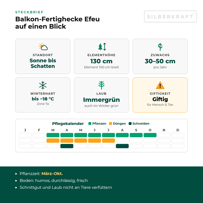 Steckbrief Balkon-Fertighecke Efeu mit Standort, Elementhöhe, Zuwachs, Winterhärte, Giftigkeit und Pflegekalender