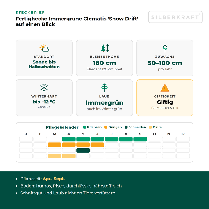 Steckbrief Fertighecke Immergrüne Clematis 'Snow Drift' mit Standort, Elementhöhe, Zuwachs, Winterhärte, Giftigkeit und Pflegekalender