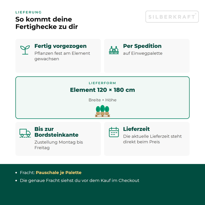 Lieferung Fertighecke Kiwi 'Dr. Szymanowski': per Spedition auf Einwegpalette bis zur Bordsteinkante, Frachtpauschale je Palette