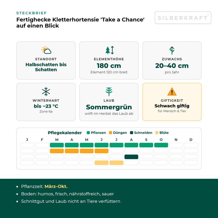 Steckbrief Fertighecke Kletterhortensie 'Take a Chance' mit Standort, Elementhöhe, Zuwachs, Winterhärte, Giftigkeit und Pflegekalender