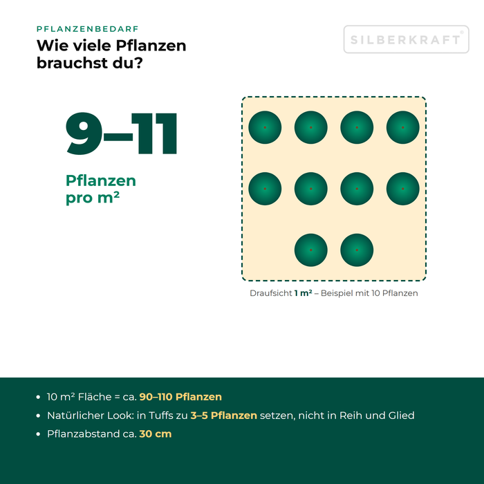Pflanzenbedarf Gewöhnliches Leinkraut (Linaria vulgaris): 9–11 Pflanzen pro m², 10 m² Fläche = ca. 90–110 Pflanzen