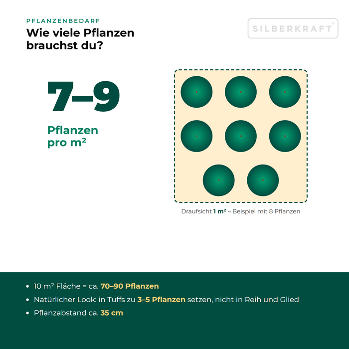 Pflanzenbedarf Große Sterndolde (Astrantia major): 7–9 Pflanzen pro m², 10 m² Fläche = ca. 70–90 Pflanzen