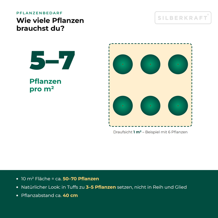 Pflanzenbedarf Großer Wiesenknopf (Sanguisorba officinalis): 5–7 Pflanzen pro m², 10 m² Fläche = ca. 50–70 Pflanzen