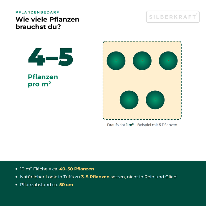 Pflanzenbedarf Muskateller-Salbei (Salvia sclarea): 4–5 Pflanzen pro m², 10 m² Fläche = ca. 40–50 Pflanzen