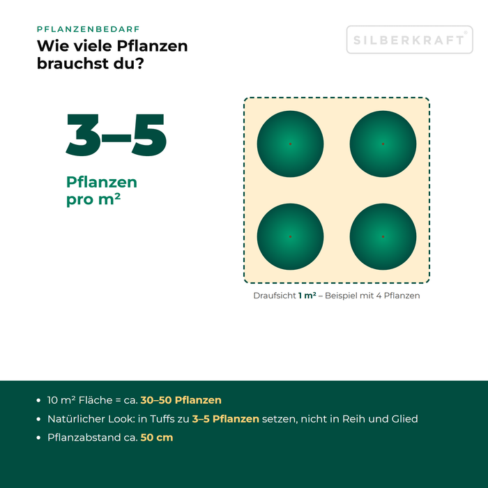 Pflanzenbedarf Nickende Distel (Carduus nutans): 3–5 Pflanzen pro m², 10 m² Fläche = ca. 30–50 Pflanzen