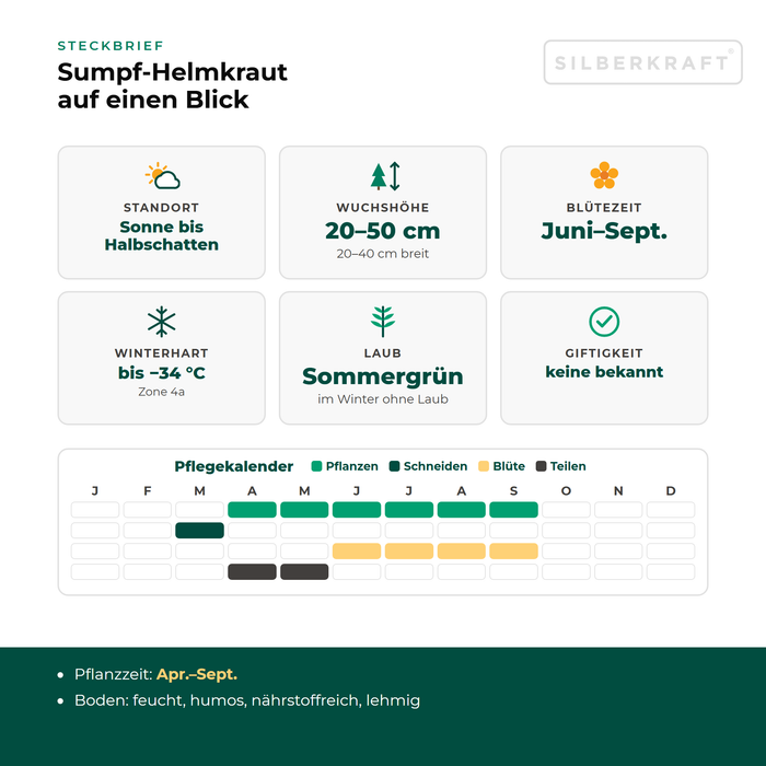 Steckbrief Sumpf-Helmkraut (Scutellaria galericulata) mit Standort, Wuchshöhe, Winterhärte, Giftigkeit und Pflegekalender